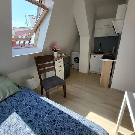 Apartament-studio 9 דירה